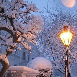 Meet your Posher, Claudia